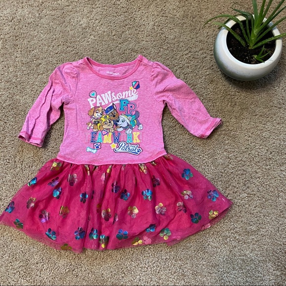 Nickelodeon Other - 📦Nickelodeon Paw Patrol Dress Sz 3T